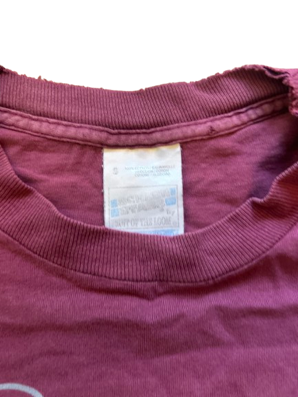 1990s Björk Homogenic Vintage Tee — Screen Stars Blank